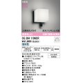 オーデリック OG264110NCR(ランプ別梱) エクステリア ポーチライト LEDランプ 昼白色 高演色LED 人検知カメラ付 防水パッキンレス型 防雨型 黒色