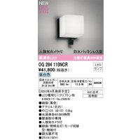 オーデリック OG264110NCR(ランプ別梱) エクステリア ポーチライト LEDランプ 昼白色 高演色LED 人検知カメラ付 防水パッキンレス型 防雨型 黒色