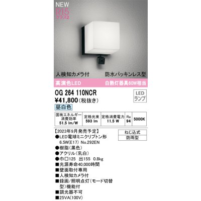 画像1: オーデリック OG264110NCR(ランプ別梱) エクステリア ポーチライト LEDランプ 昼白色 高演色LED 人検知カメラ付 防水パッキンレス型 防雨型 黒色