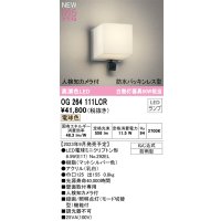オーデリック OG264111LCR(ランプ別梱) エクステリア ポーチライト LEDランプ 電球色 高演色LED 人検知カメラ付 防水パッキンレス型 防雨型 マットシルバー