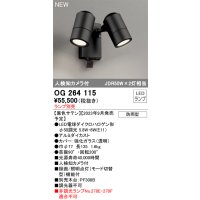 オーデリック OG264115 エクステリア スポットライト ランプ別売 LEDランプ 人検知カメラ付 防雨型 黒色サテン