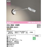 オーデリック OG264129R エクステリア スポットライト LED一体型 電球色 高演色LED 防雨型 マットシルバー