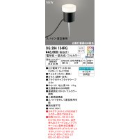 オーデリック OG264134RG(ランプ別梱) エクステリア ガーデンライト フルカラー調光調色 リモコン別売 LEDランプ 高演色LED スパイク・置型兼用 防雨型 黒色