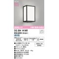 オーデリック OG264141NR(ランプ別梱) エクステリア ポーチライト LEDランプ 昼白色 高演色LED 防雨型 黒色