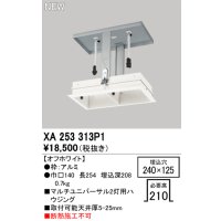 オーデリック XA253313P1 ダウンライト 部材 埋込穴240×125 ハウジング 2灯 オフホワイト