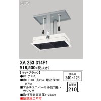 オーデリック XA253314P1 ダウンライト 部材 埋込穴240×125 ハウジング 2灯 マットブラック