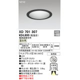 オーデリック XD701307 ダウンライト 埋込穴φ150 電源装置別売 LED一体型 温白色 軒下取付専用 防雨型 マットブラック