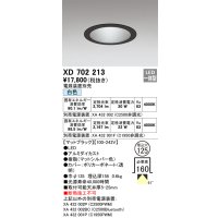 オーデリック XD702213 ダウンライト 埋込穴φ125 電源装置別売 LED一体型 白色 マットブラック