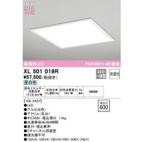 オーデリック XL501019R ベースライト 埋込穴□600 非調光 LED一体型 昼白色 直付・埋込兼用型 高演色LED ホワイト