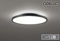 [在庫あり] オーデリック OL291619BR シーリングライト 12畳 調光調色 Bluetooth リモコン付 LED一体型 高演色LED 黒色 ☆