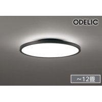 [在庫あり] オーデリック OL291619BR シーリングライト 12畳 調光調色 Bluetooth リモコン付 LED一体型 高演色LED 黒色 ☆