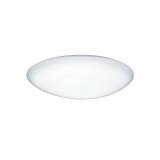 大光電機(DAIKO) DCL-42125W シーリング LED内蔵 電源内蔵 調光 昼白色 洋風 タイマー付リモコン プルレス 6畳