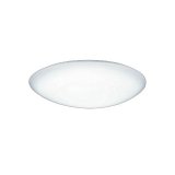 大光電機(DAIKO) DCL-42126W シーリング LED内蔵 電源内蔵 調光 昼白色 洋風 タイマー付リモコン プルレス 8畳