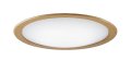 パナソニック LGC32123 シーリングライト 8畳 調光調色 リモコン付属 LED(昼光色 電球色) 美ルック カチットF ライトナチュラル