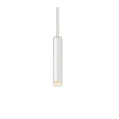 画像1: パナソニック XSZB10042CB1(ランプ別梱) ペンダント 調光(ライコン別売) LED(電球色) 天井吊下型 集光48度 直付タイプ LEDコンパクトランプ交換型 ホワイト