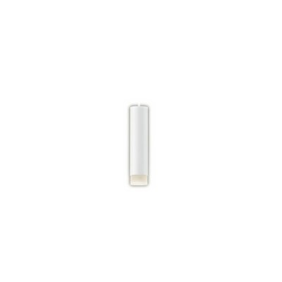 画像1: パナソニック XSZB16003CB1(ランプ別梱) ペンダント 調光(ライコン別売) LED(温白色) 配線ダクト取付型 集光48度 LEDコンパクトランプ交換型 ホワイト