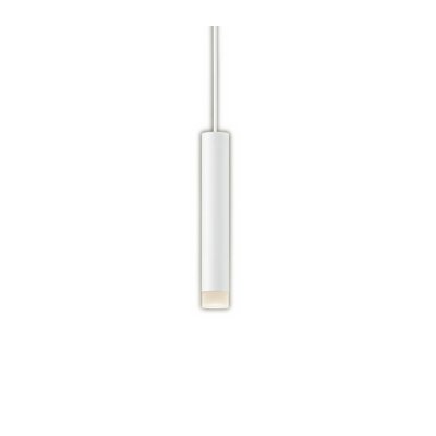 画像1: パナソニック XSZB10053CB1(ランプ別梱) ペンダント 調光(ライコン別売) LED(温白色) 天井吊下型 集光48度 直付タイプ LEDコンパクトランプ交換型 ホワイト