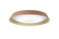 大光電機(DAIKO) DCL-42074 シーリング 8畳 調色調光 LED内臓 リモコン付 テラコッタ色