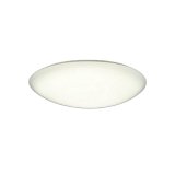 大光電機(DAIKO) DCL-42125A シーリング 6畳 調光 温白色 LED内臓 リモコン付