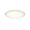 大光電機(DAIKO) DCL-42128A シーリング 12畳 調光 温白色 LED内臓 リモコン付