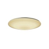大光電機(DAIKO) DCL-42185 和風照明 シーリング 6畳 調色調光 LED内臓 リモコン付