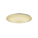 大光電機(DAIKO) DCL-42186 和風照明 シーリング 8畳 調色調光 LED内臓 リモコン付