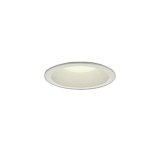 大光電機(DAIKO) DDL-5648FWG ダウンライト 埋込穴φ100 温調(調光器別売) 電球色 キャンドル色 LED内臓 高気密SB型 ホワイト