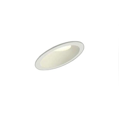 画像1: 大光電機(DAIKO) DDL-5649FWG ダウンライト 埋込穴φ100 温調(調光器別売) 電球色 キャンドル色 LED内臓 高気密SB型 ホワイト