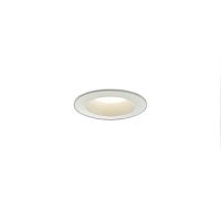 大光電機(DAIKO) DDL-5653YW ダウンライト 埋込穴φ50 非調光 電球色 LED内臓 NANA-GO COBタイプ 高気密SB形 ホワイト