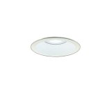 大光電機(DAIKO) DDL-5672WWG ダウンライト 埋込穴φ100 調光(調光器別売) 昼白色 LED内臓 COBタイプ 高気密SB形 高天井用 防雨形 ホワイト