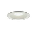 大光電機(DAIKO) DDL-5694YW ダウンライト 埋込穴φ150 非調光 電球色 LED内臓 ベーシック COBタイプ 高気密SB形 リニューアル用 防雨形 ホワイト