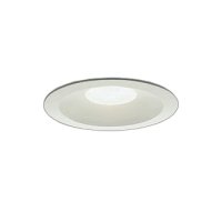 大光電機(DAIKO) DDL-5694YW ダウンライト 埋込穴φ150 非調光 電球色 LED内臓 ベーシック COBタイプ 高気密SB形 リニューアル用 防雨形 ホワイト