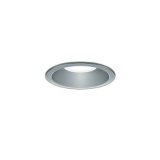 大光電機(DAIKO) DDL-6134WS ダウンライト 埋込穴φ100 非調光 昼白色 LED内臓 ベーシック COBタイプ 高気密SB形 防雨形 シルバー