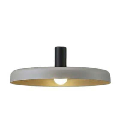 画像1: 大光電機(DAIKO) DPN-42384Y ペンダント 非調光 電球色 LED ランプ付 フランジタイプ ブラウングレー
