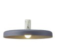 大光電機(DAIKO) DPN-42386Y ペンダント 非調光 電球色 LED ランプ付 フランジタイプ スチールグレー