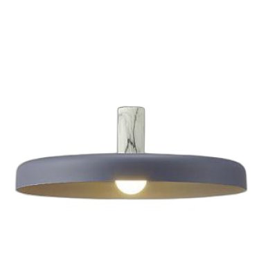 画像1: 大光電機(DAIKO) DPN-42386Y ペンダント 非調光 電球色 LED ランプ付 フランジタイプ スチールグレー