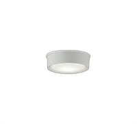 大光電機(DAIKO) DWP-42190A アウトドアライト 軒下シーリング 非調光 温白色 LED内臓 防雨形 ホワイト