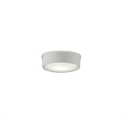 画像1: 大光電機(DAIKO) DWP-42190A アウトドアライト 軒下シーリング 非調光 温白色 LED内臓 防雨形 ホワイト
