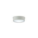 大光電機(DAIKO) DWP-42190W アウトドアライト 軒下シーリング 非調光 昼白色 LED内臓 防雨形 ホワイト