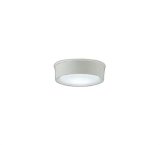 大光電機(DAIKO) DWP-42190W アウトドアライト 軒下シーリング 非調光 昼白色 LED内臓 防雨形 ホワイト