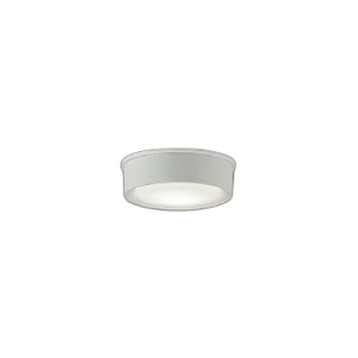 画像1: 大光電機(DAIKO) DWP-42191A アウトドアライト 軒下シーリング 非調光 温白色 LED内臓 防雨形 ホワイト