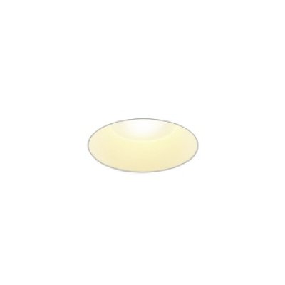 画像1: コイズミ照明 AD1079W27 ダウンライト φ100 調光(調光器別売) 電球色 パネル 高天井・大空間用 高気密SB 高演色R+ 防雨・防湿型 ファインホワイト