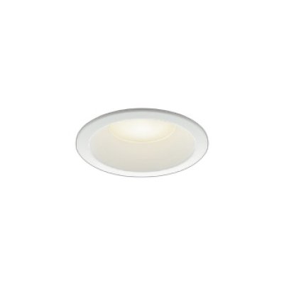 画像1: コイズミ照明 AD1079W35 ダウンライト φ100 調光(調光器別売) 温白色 パネル 高天井・大空間用 高気密SB 高演色R+ 防雨・防湿型 ファインホワイト