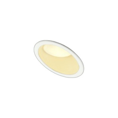 画像1: コイズミ照明 AD7353W27 ダウンライト φ100 調光(調光器別売) 電球色 パネル 高気密SB 傾斜 ウォールウォッシャー 高演色R+ 防雨・防湿型 ファインホワイト