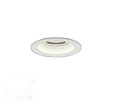 大光電機(DAIKO) LZD-9012AWB8 ダウンライト 埋込穴φ100 無線 調光(調光器別売) 温白色 LED ホワイト