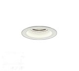 大光電機(DAIKO) LZD-9012WWB8 ダウンライト 埋込穴φ100 無線 調光(調光器別売) 昼白色 LED ホワイト 受注生産品[§]