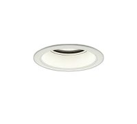 大光電機(DAIKO) LZD-9013WWB3 ダウンライト 埋込穴φ125 非調光 昼白色 LED ホワイト 受注生産品[§]