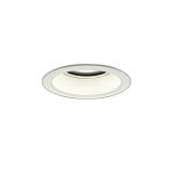 大光電機(DAIKO) LZW-9023YWW3E ダウンライト 埋込穴φ125 非調光 電球色 LED 軒下用 防雨形 ホワイト