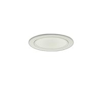 大光電機(DAIKO) LZD-9043FWW4 ダウンライト 埋込穴φ100 調色調光(調光器別売) LED ホワイト