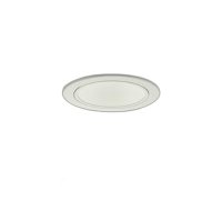 大光電機(DAIKO) LZD-9044FWB8 ダウンライト 埋込穴φ100 無線 調色調光(調光器別売) LED ホワイト